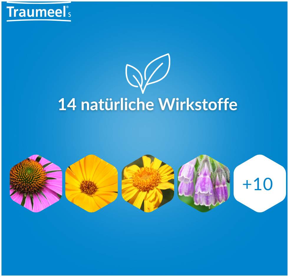 Traumeel S Gel 100g