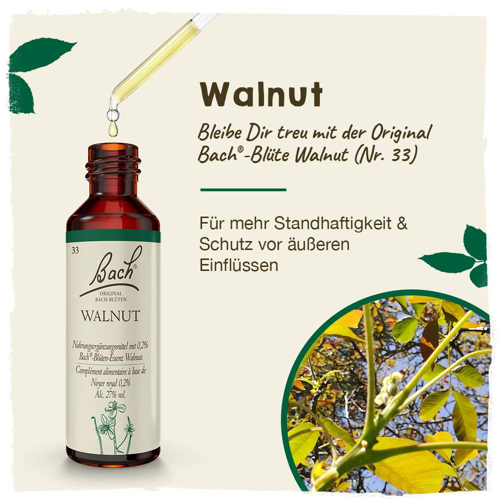 Bachblüten Walnut 20ml Tropfen