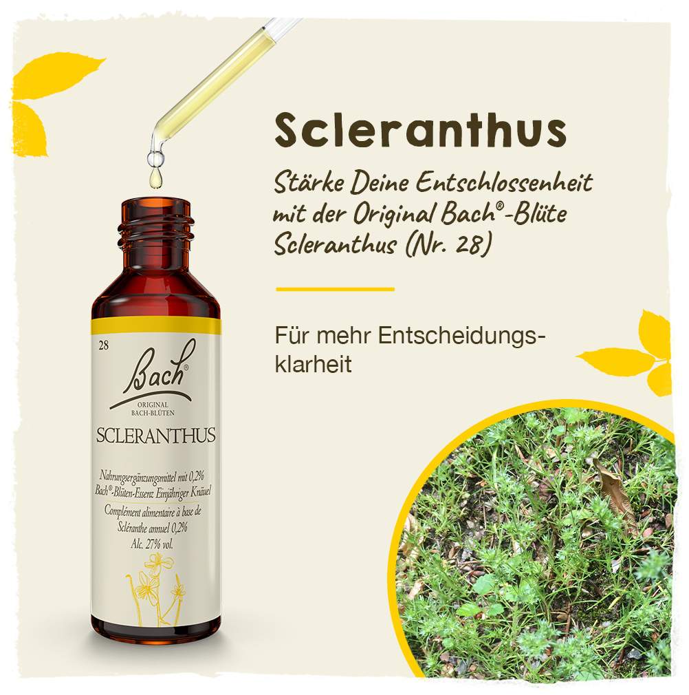 Bachblüten Scleranthus 20 ml Tropfen