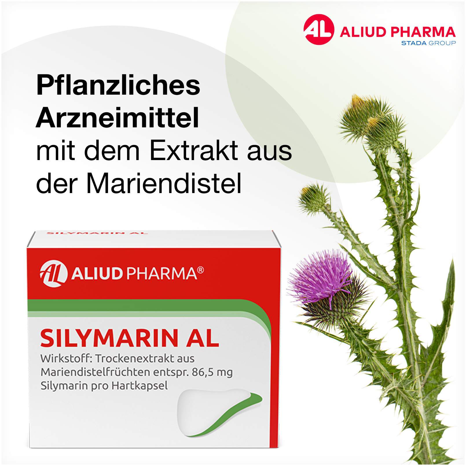 Silymarin Al 100 Hartkapseln