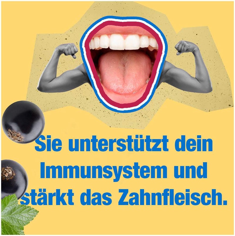 Grether`s Pastilles Blackcurrant zuckerfrei Dose 110 g