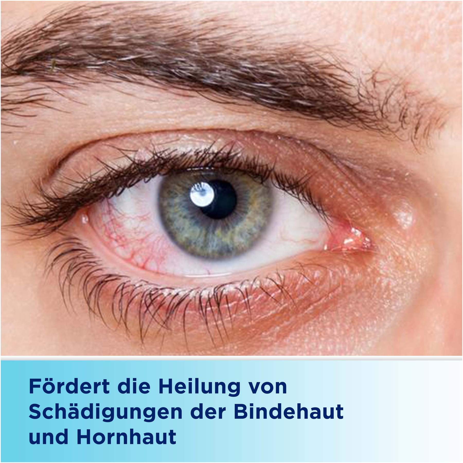 Bepanthen Augen- und Nasensalbe 2 x 10 g