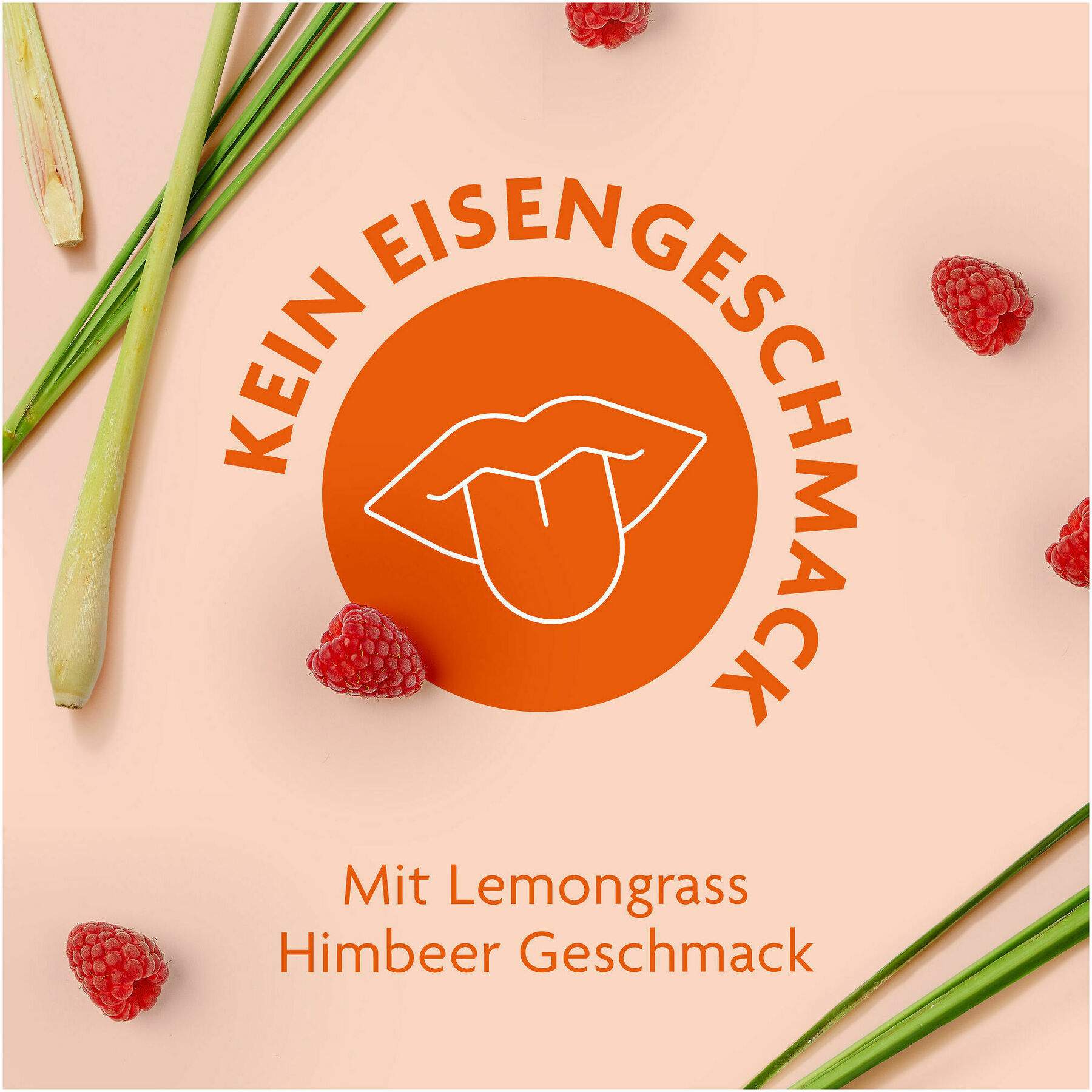 Floradix Eisen Sticks intens Pulver 20 Stück