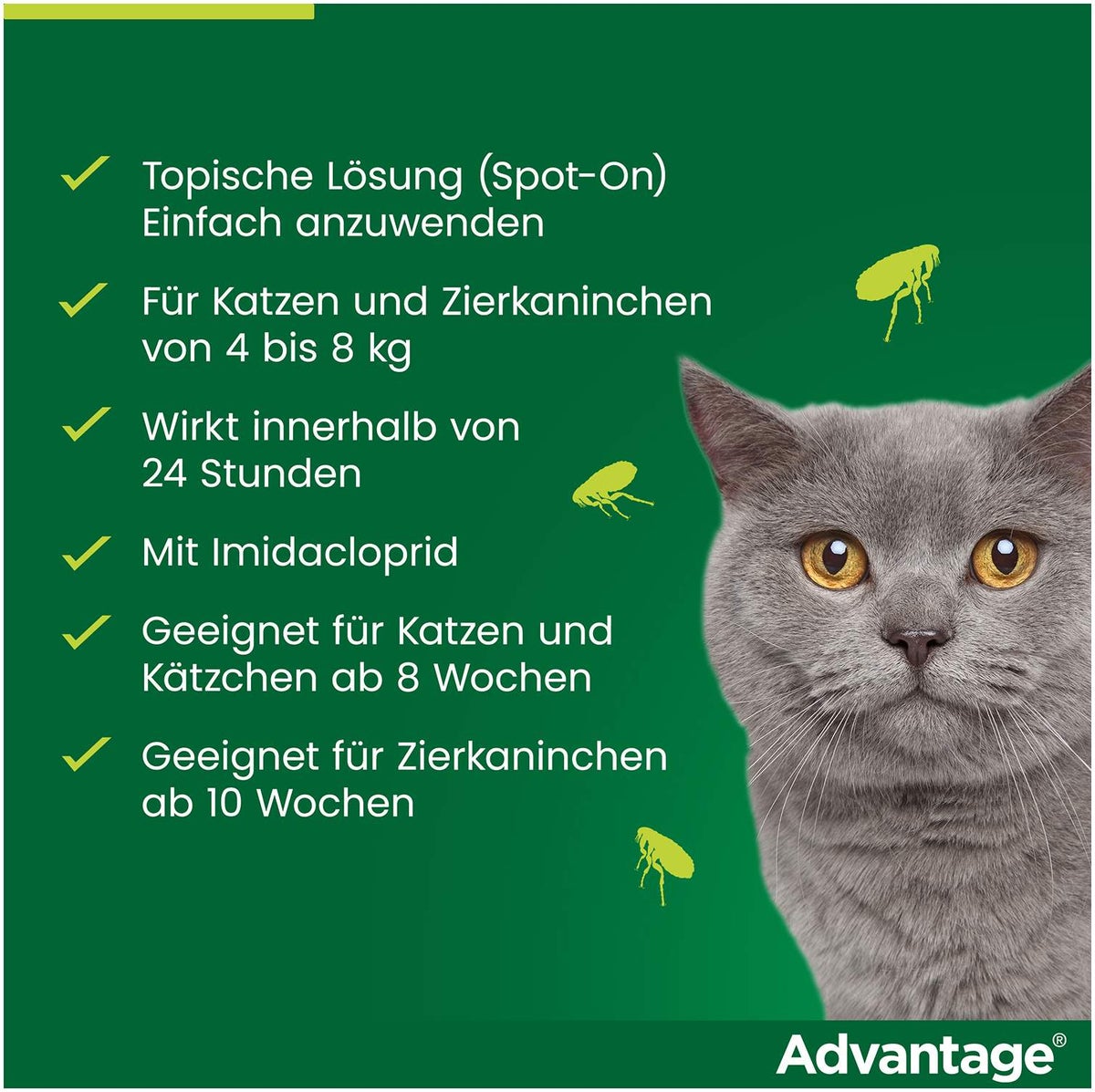 Advantage 80 mg für Katzen und Zierkaninchen über 4 kg 4 x 0,8 ml Lösung