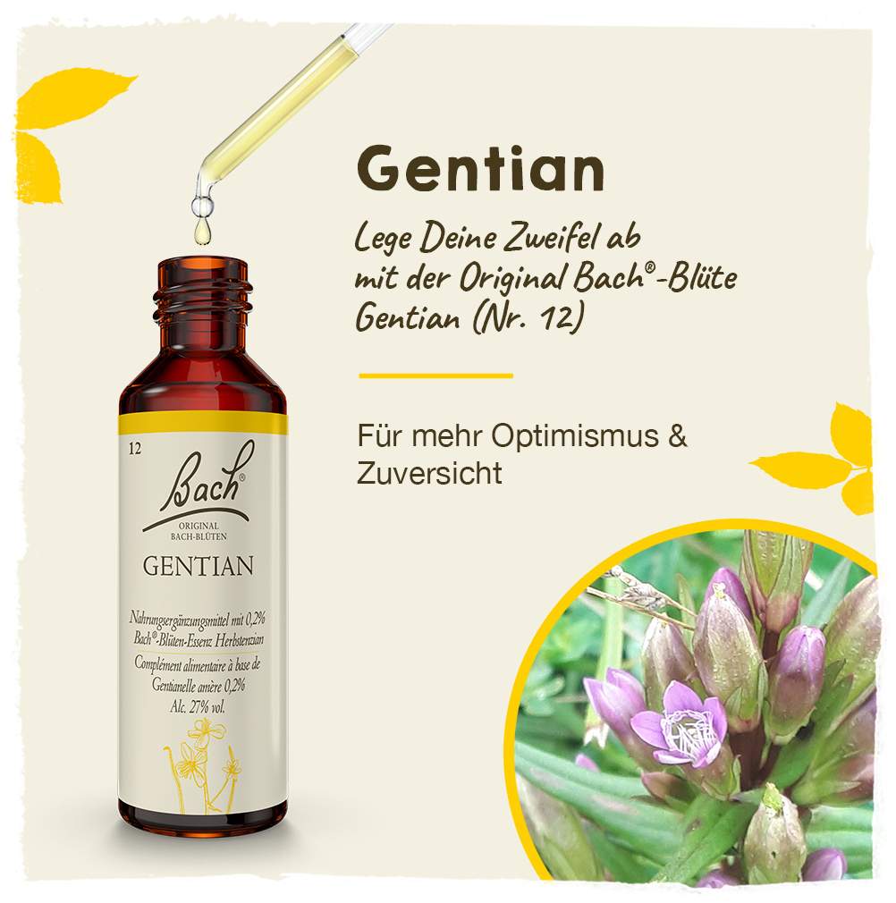 Bachblüten Gentian 20 ml Lösung