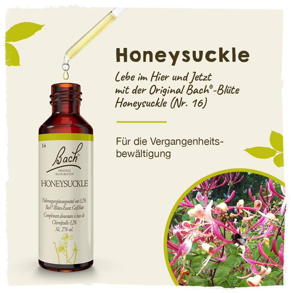 Bachblüten Honeysuckle 20 ml Tropfen