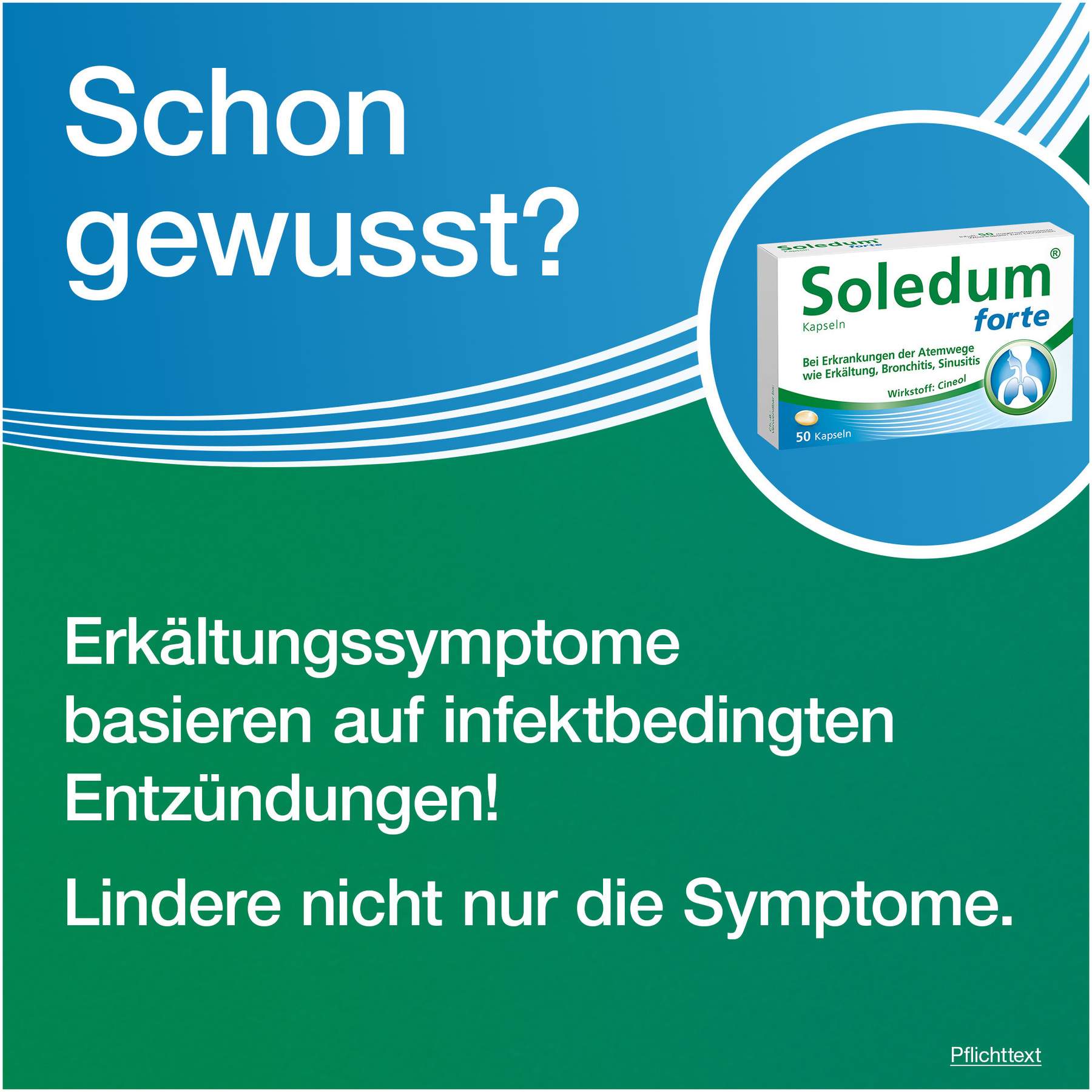 Soledum Kapseln forte 20 magensaftresistente Kapseln