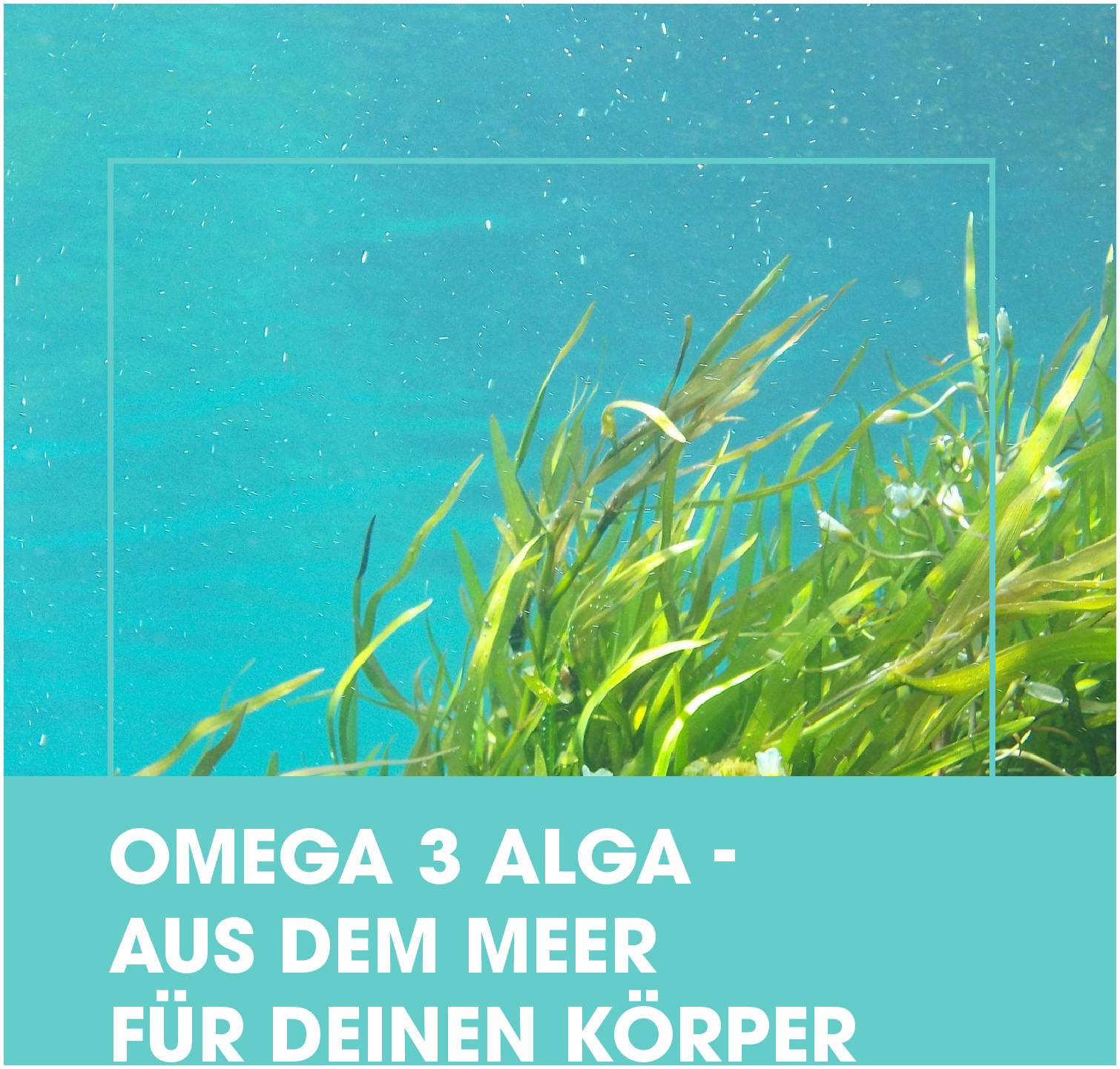 Medivital Omega 3 Alga 120 Kapseln