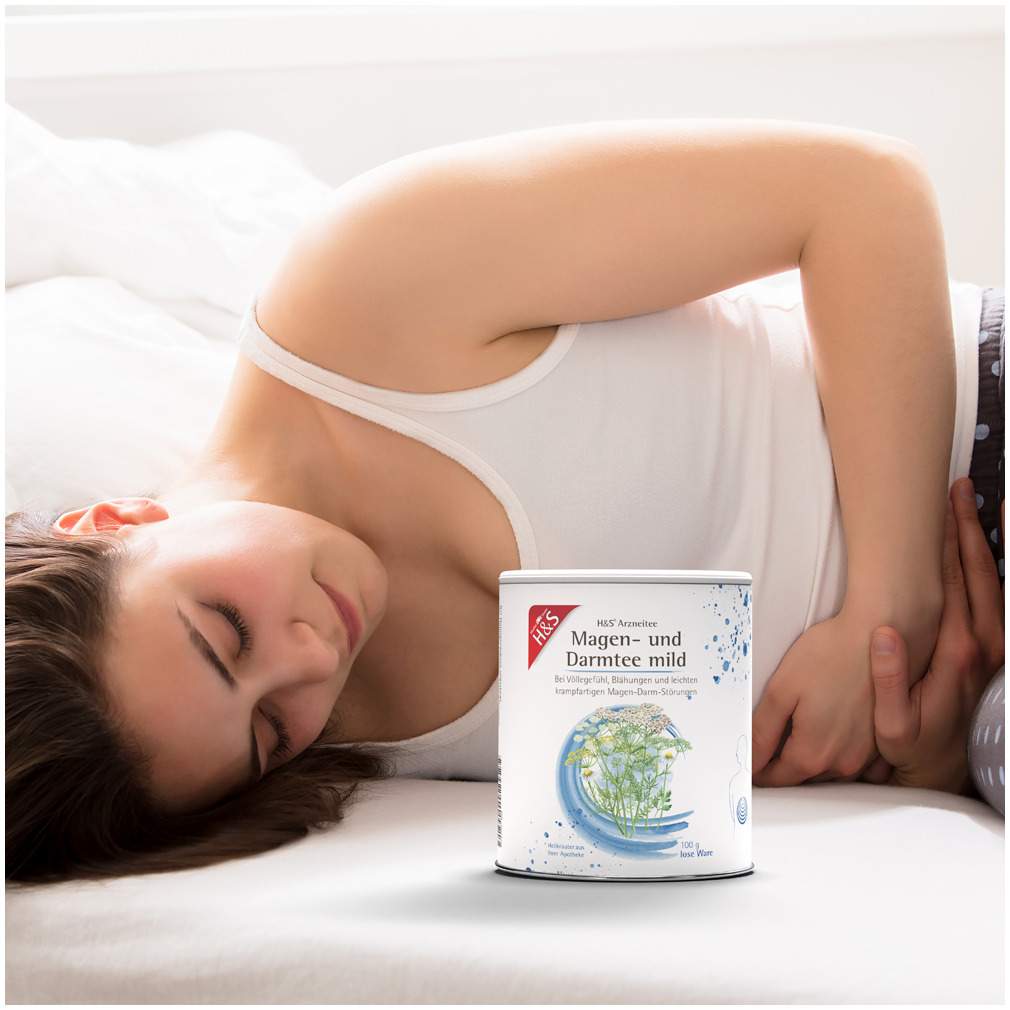 H&S Magen- und Darmtee Mild Loser 100 G Tee