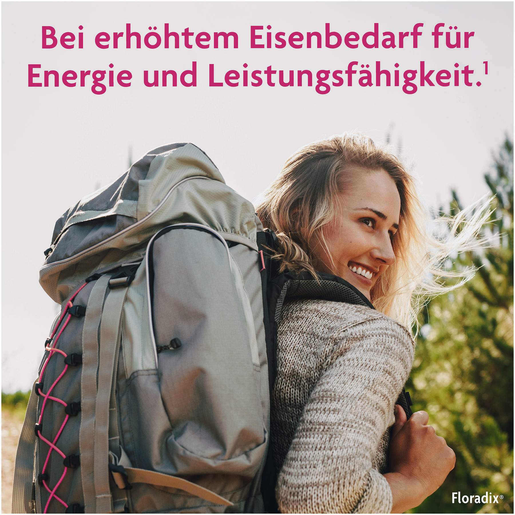 Floradix Eisen Folsäure Tabletten 84 Stück