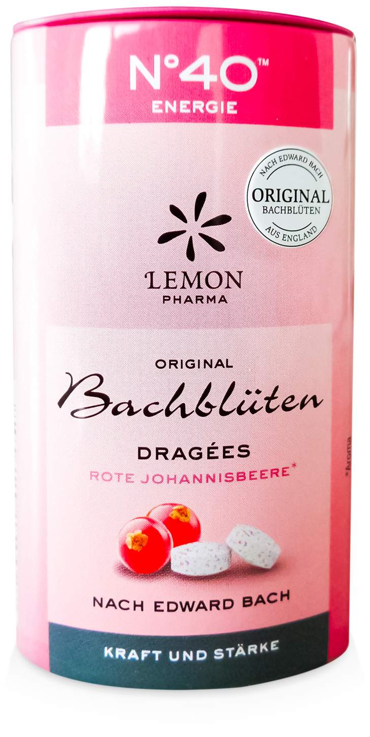 Bachblüten No. 40 Energie 21 G Dragees