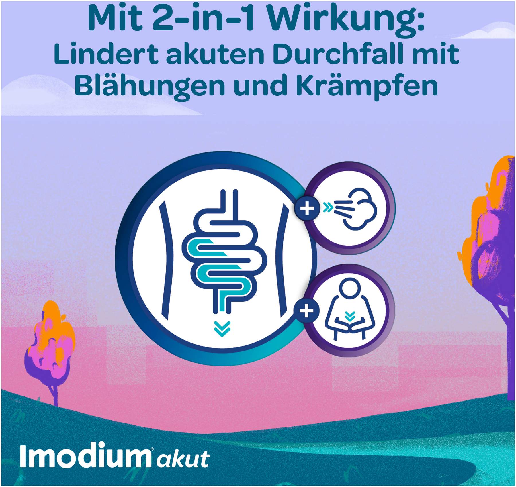 Imodium akut Duo 2 mg 125 mg 12 Tabletten