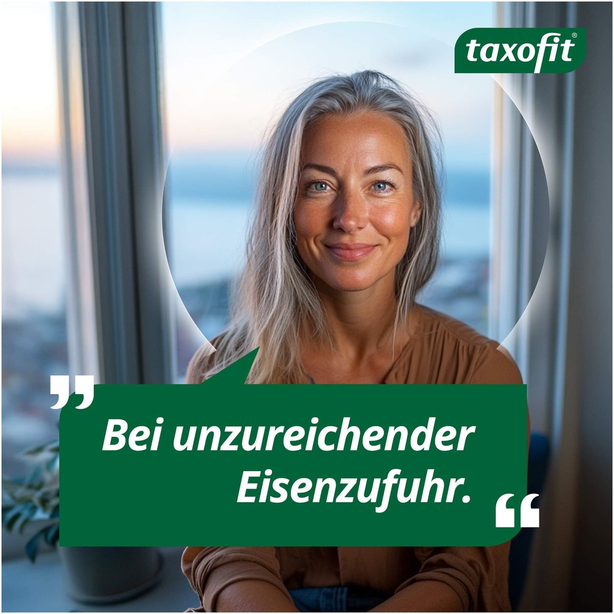 Taxofit Eisen + Vitamin C 40 Kapseln