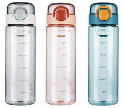 Alpina Trinkflasche grau 600 ml