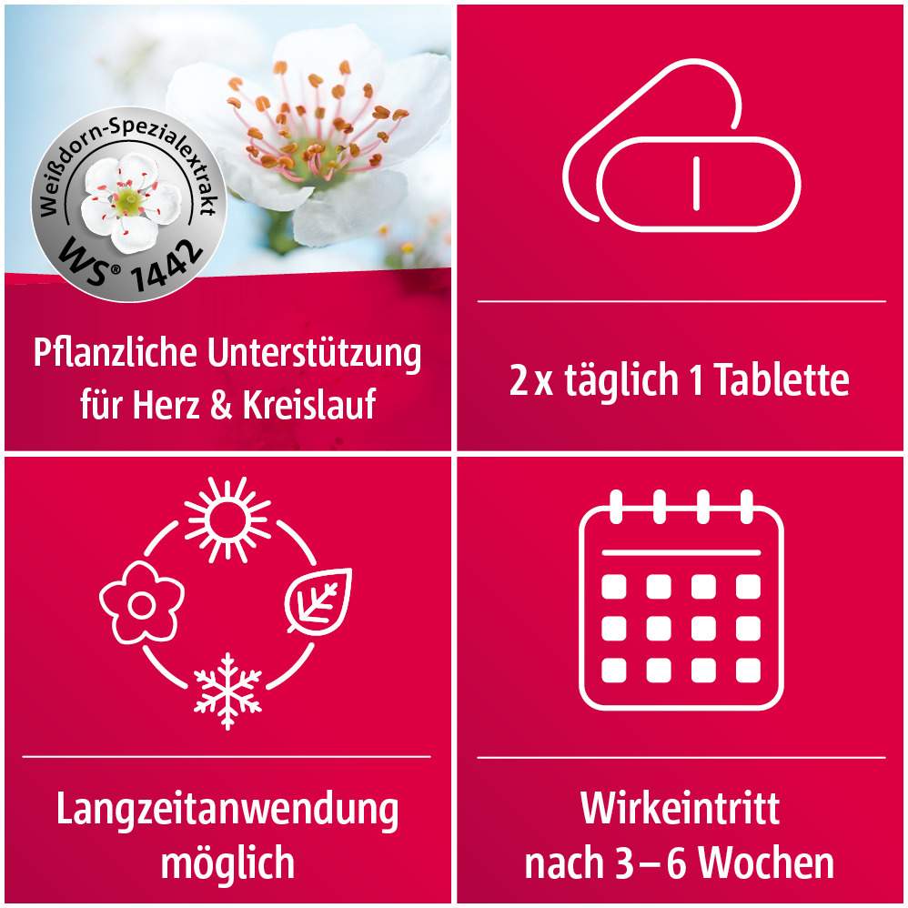 Crataegutt 450 mg Herz-Kreislauf-Tabletten 60 Stück