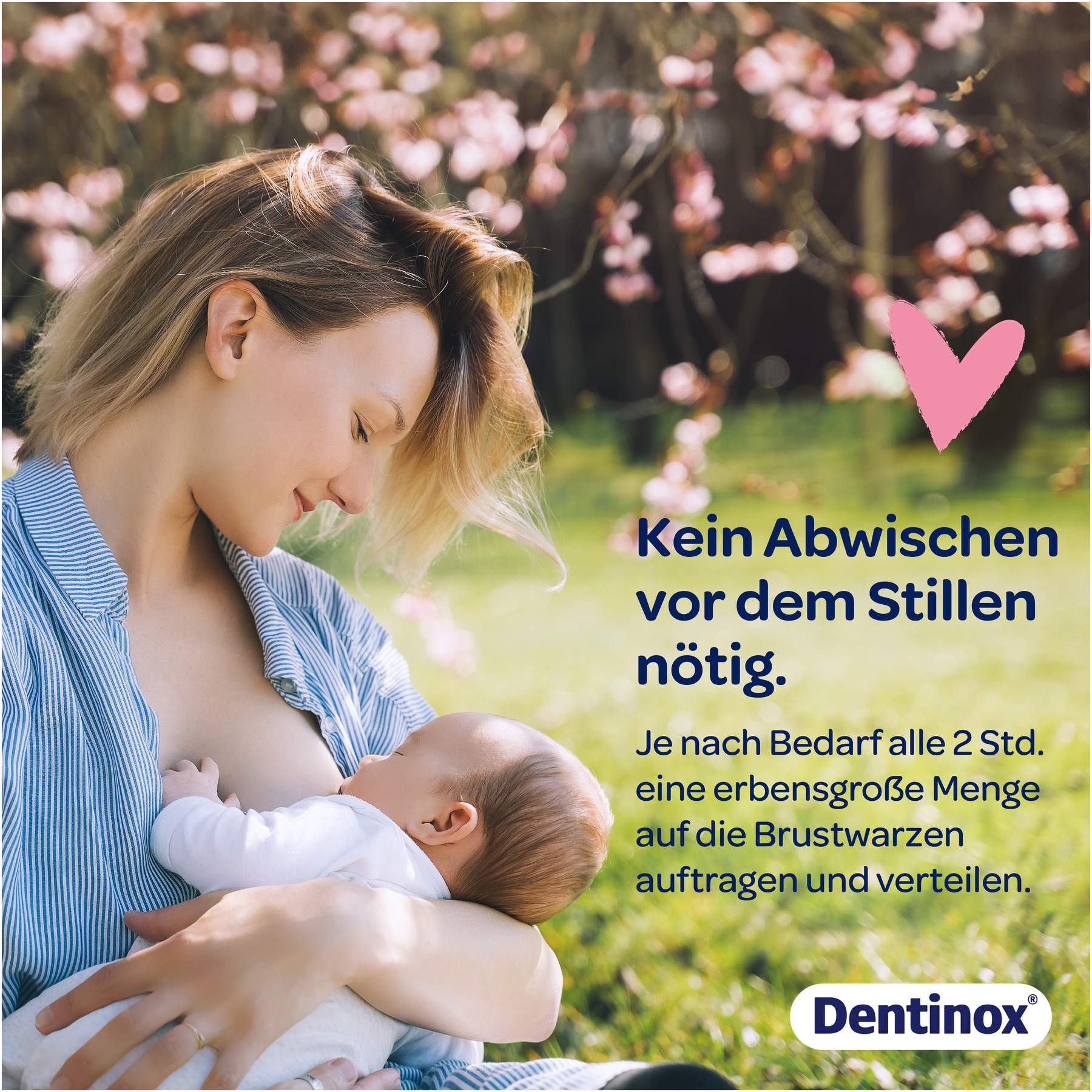 Dentinox Stillcreme 2in1 30 ml