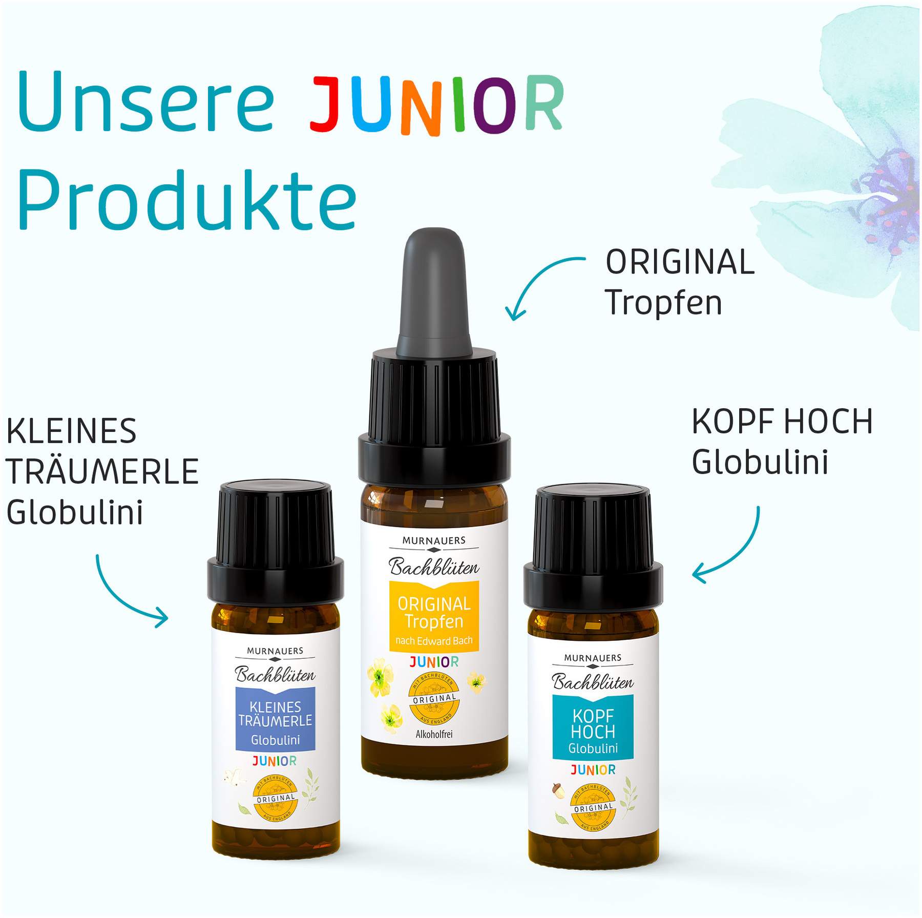 Bachblüten Murnauers Kinder Kopf Hoch Globulini 10