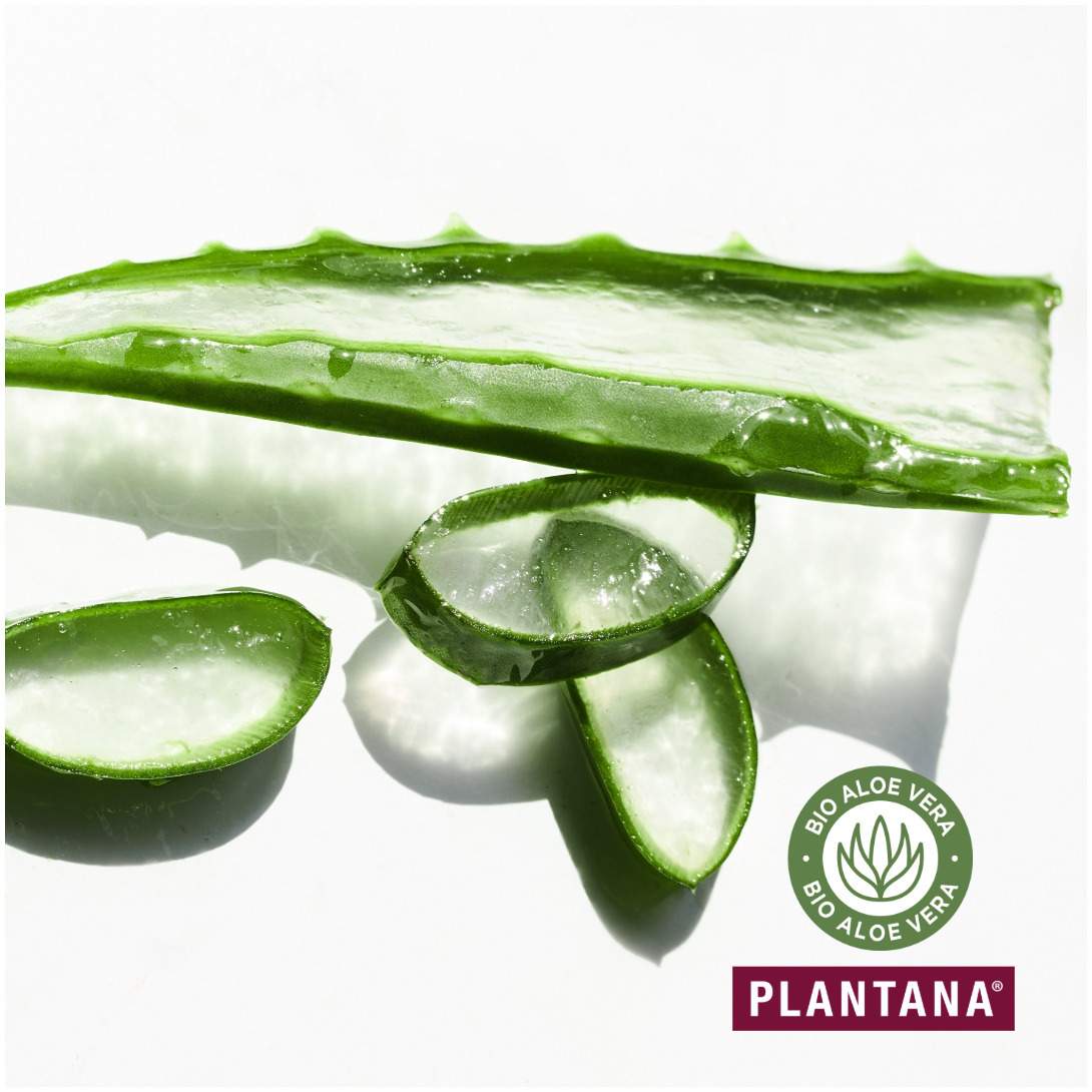 Plantana Aloe Vera Körpercreme 500 ml