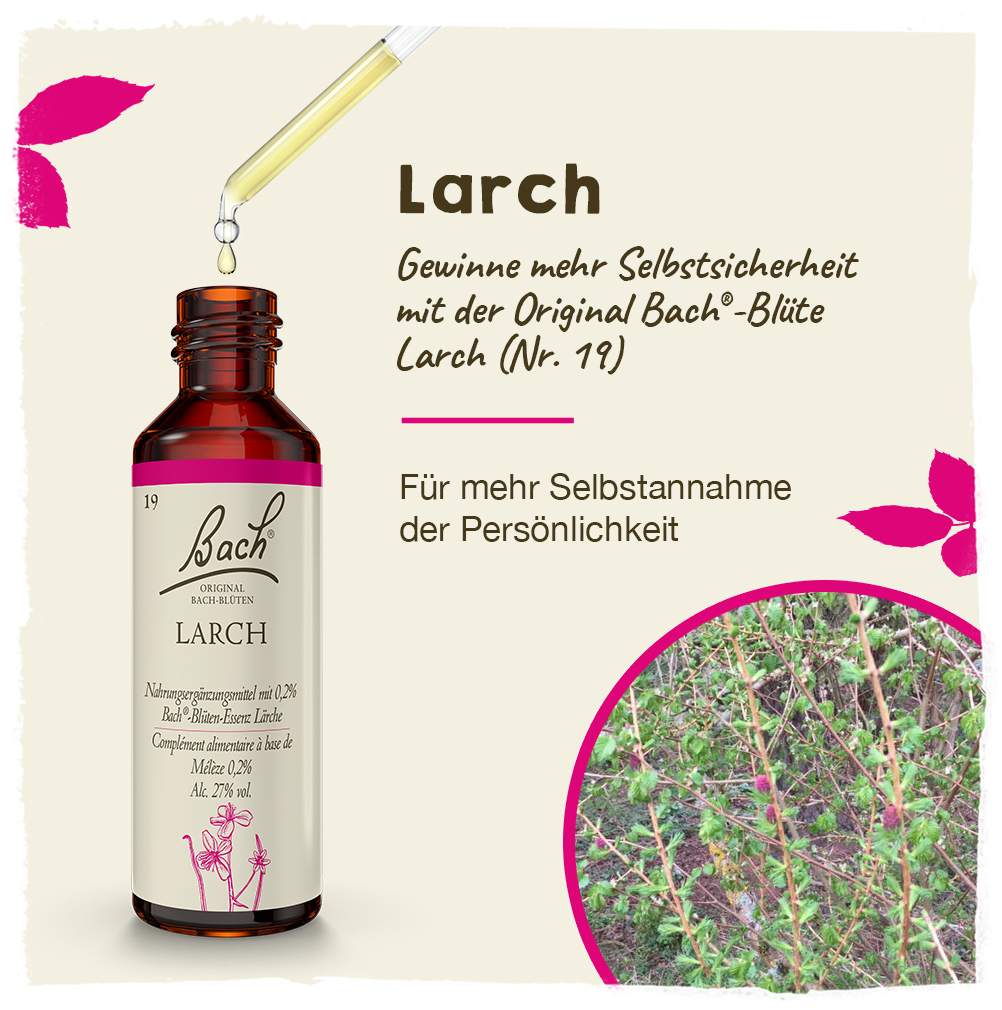 Bachblüten Larch 20ml Tropfen