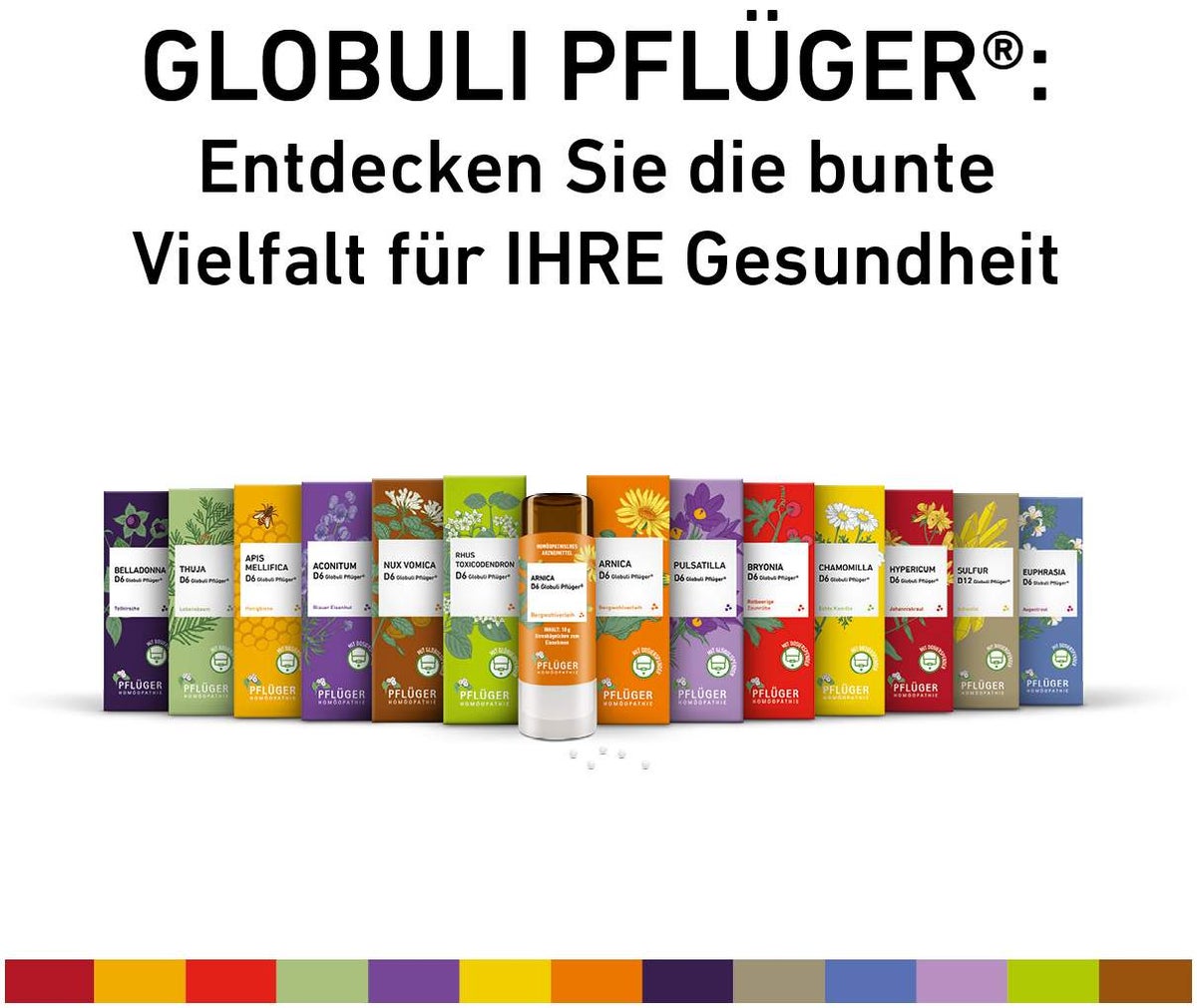 Rhus Toxicondedron D 6 Globuli Pflüger Globulispender 10 g