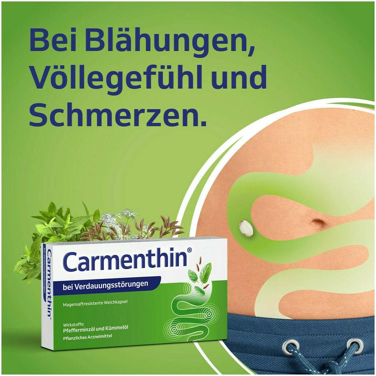 Carmenthin bei Verdauungsstörungen 84 magensaftresistente Weichkapseln