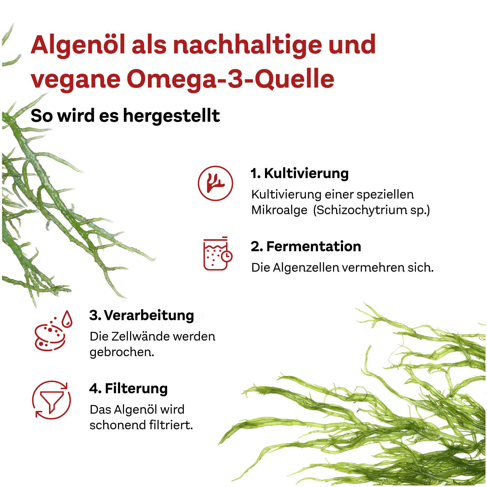 Doppelherz system Omega-3 Pflanzlich 120 Kapseln