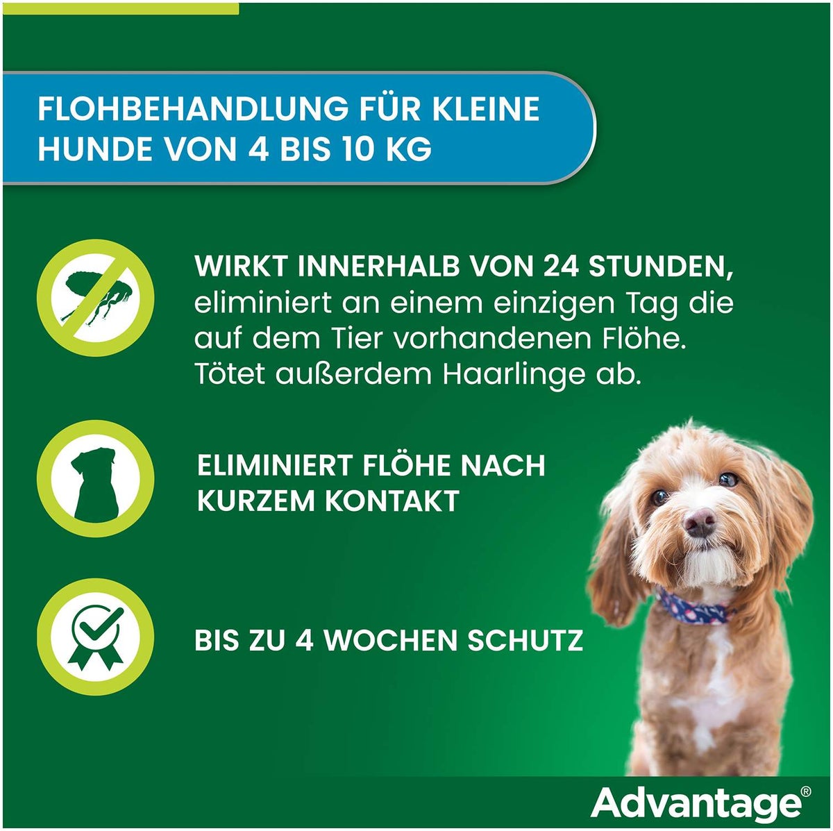 Advantage 100 Lösung für Hunde 4 - 10 kg 4 Einzeldosispipetten
