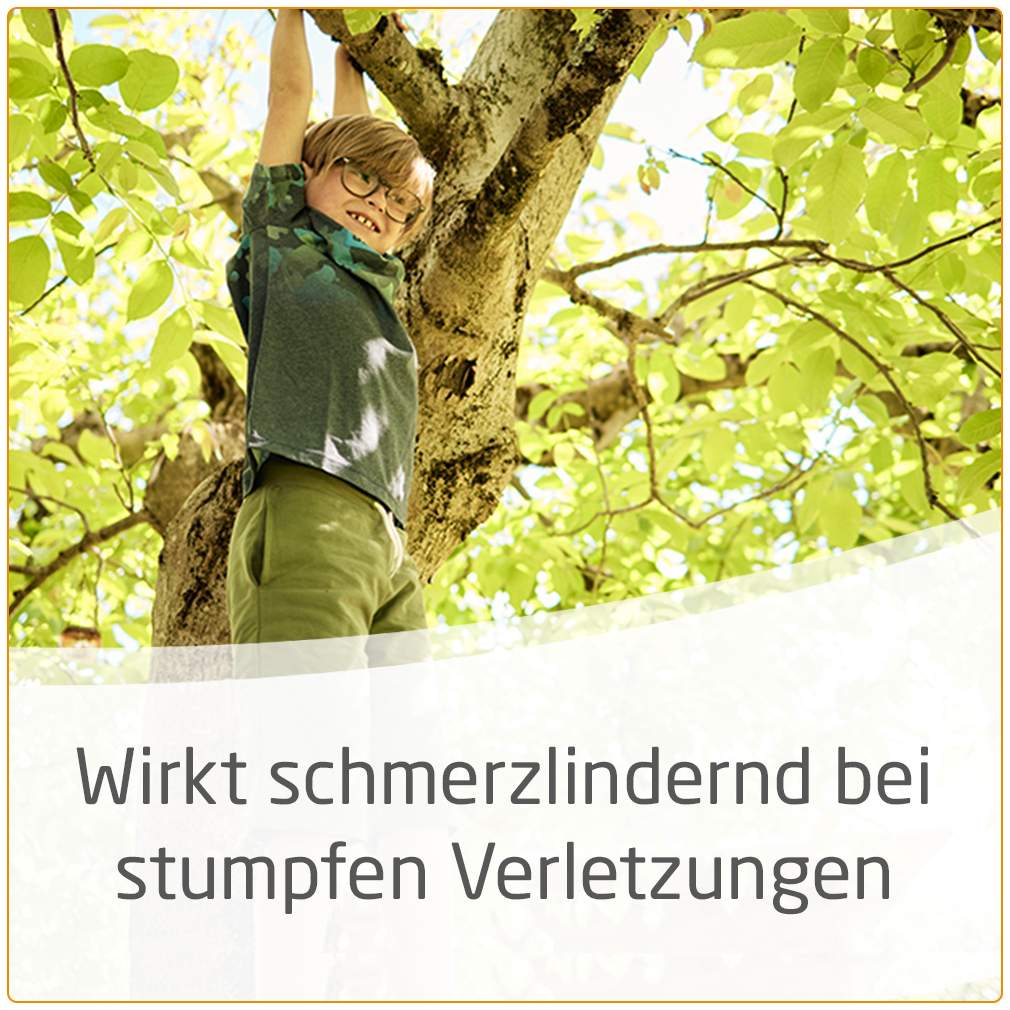 Weleda Arnika-Salbe 30% 70g Salbe