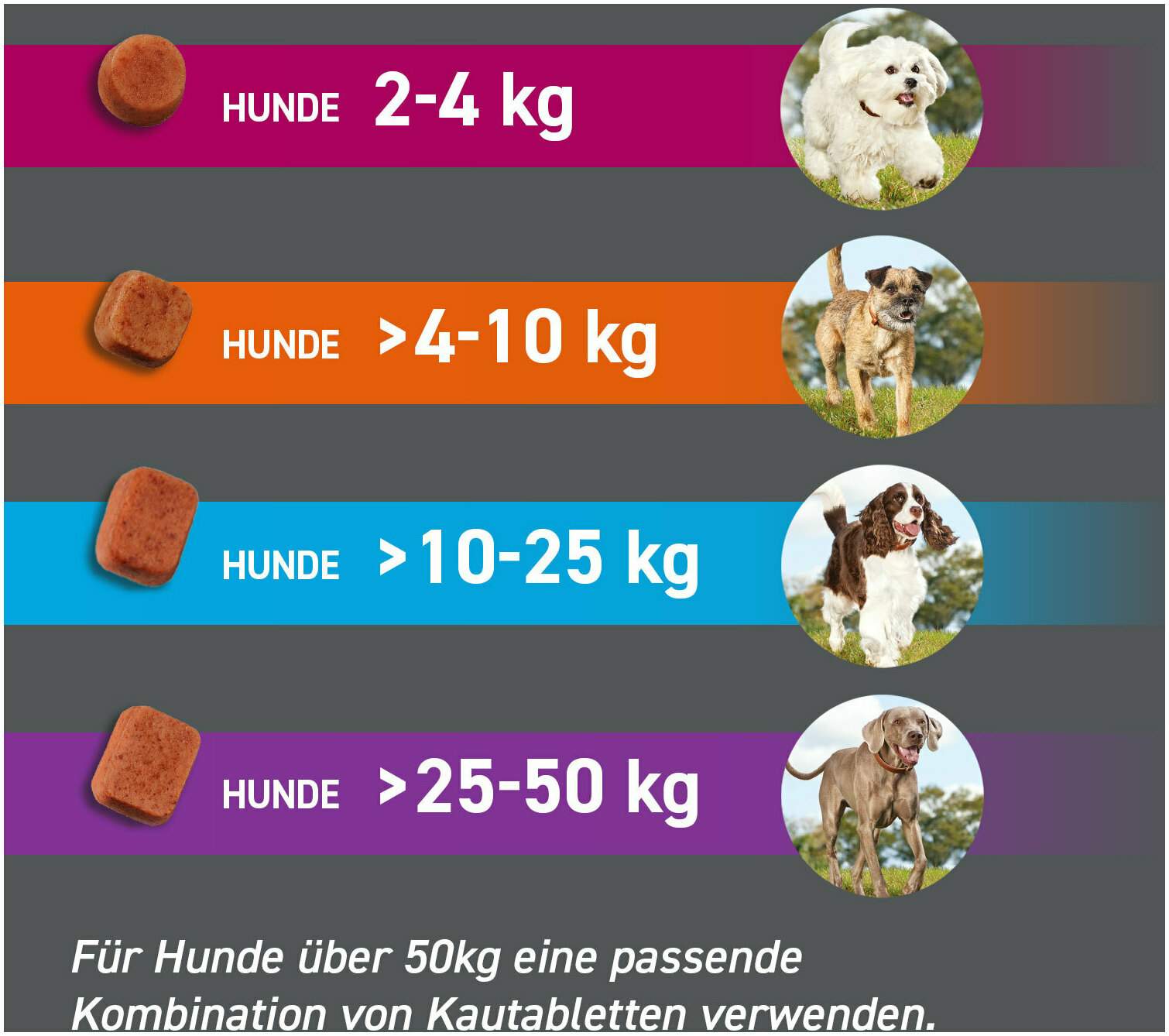 Frontpro 68 mg für Hunde 10-25 kg 3 Kautabletten