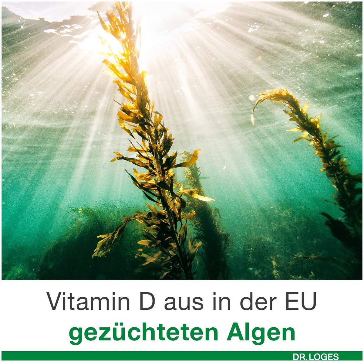 Vitamin D-Loges 7000 I.E. Pflanzlich 90 Weichkapseln