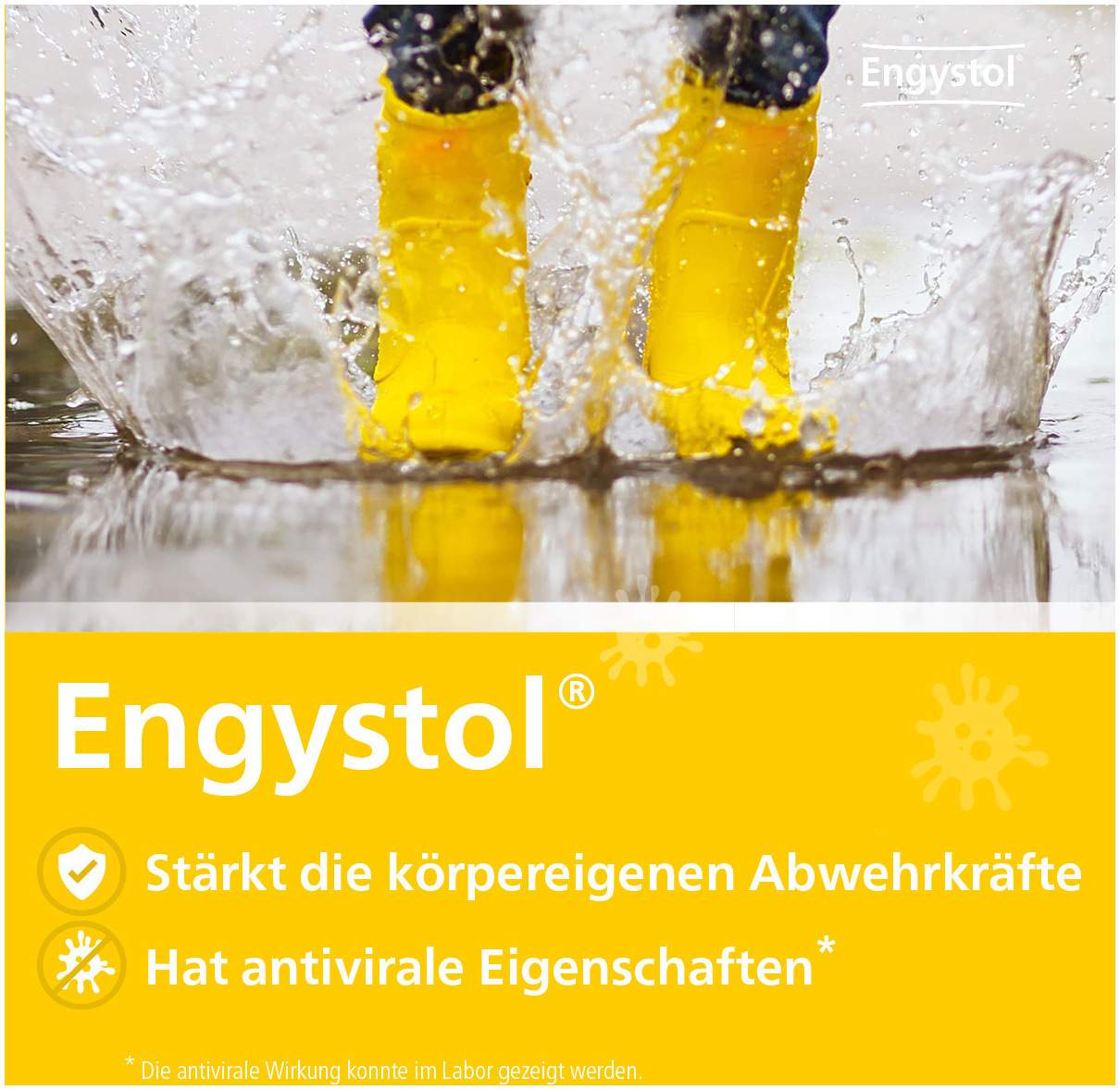 Engystol Ampullen 10 Ampullen