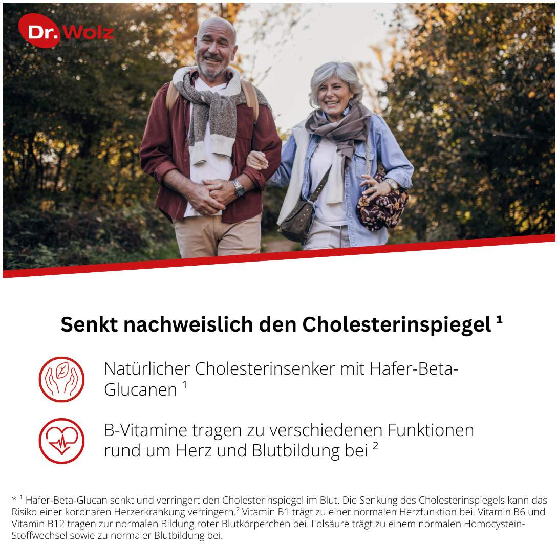 Cholesterinreduktion Dr.Wolz 224 G  Pulver