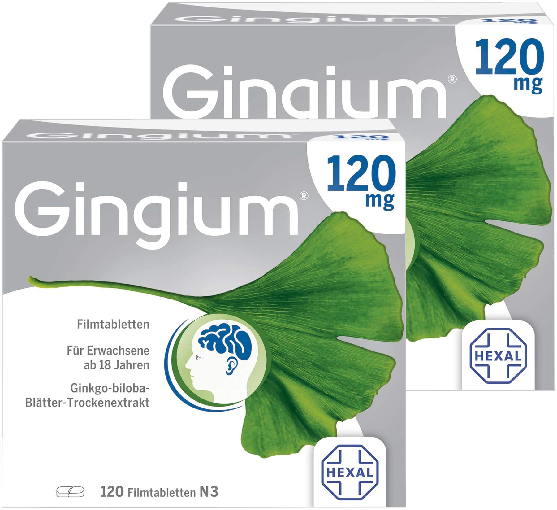 Gingium 120 mg 2 x 120 Filmtabletten