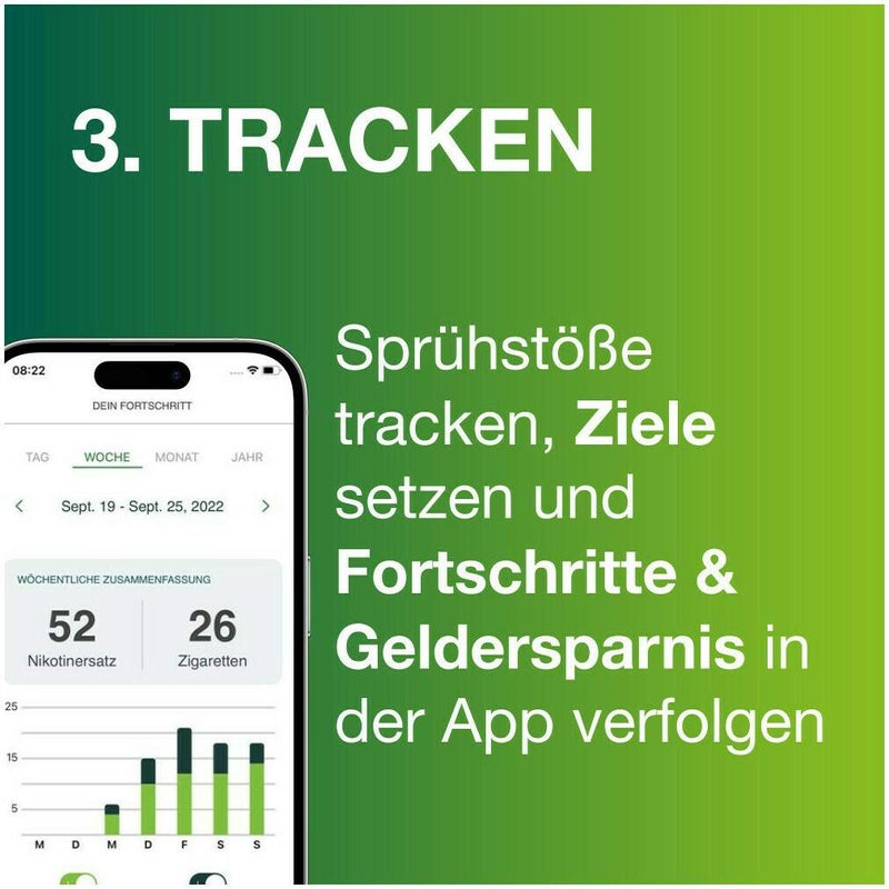 Nicorette Fruit & Mint Spray 1 mg 2 x 2 Stück