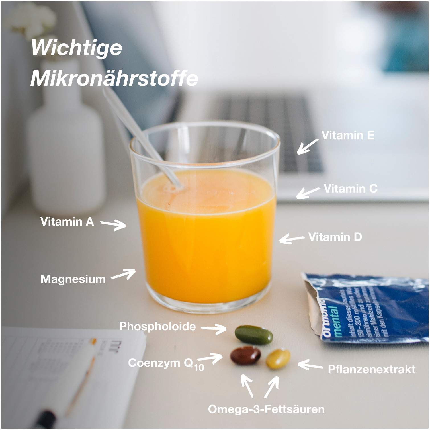 Orthomol Mental Granulat Plus Kapseln 15 Tage 1 Kombipackung