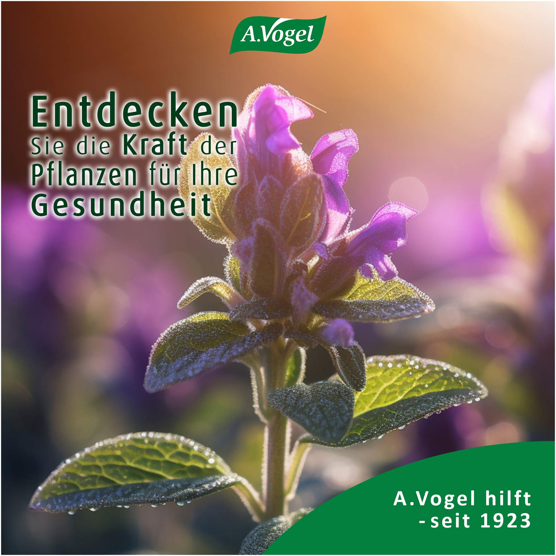 A.Vogel Menosan Salvia Tabletten 30 Stück