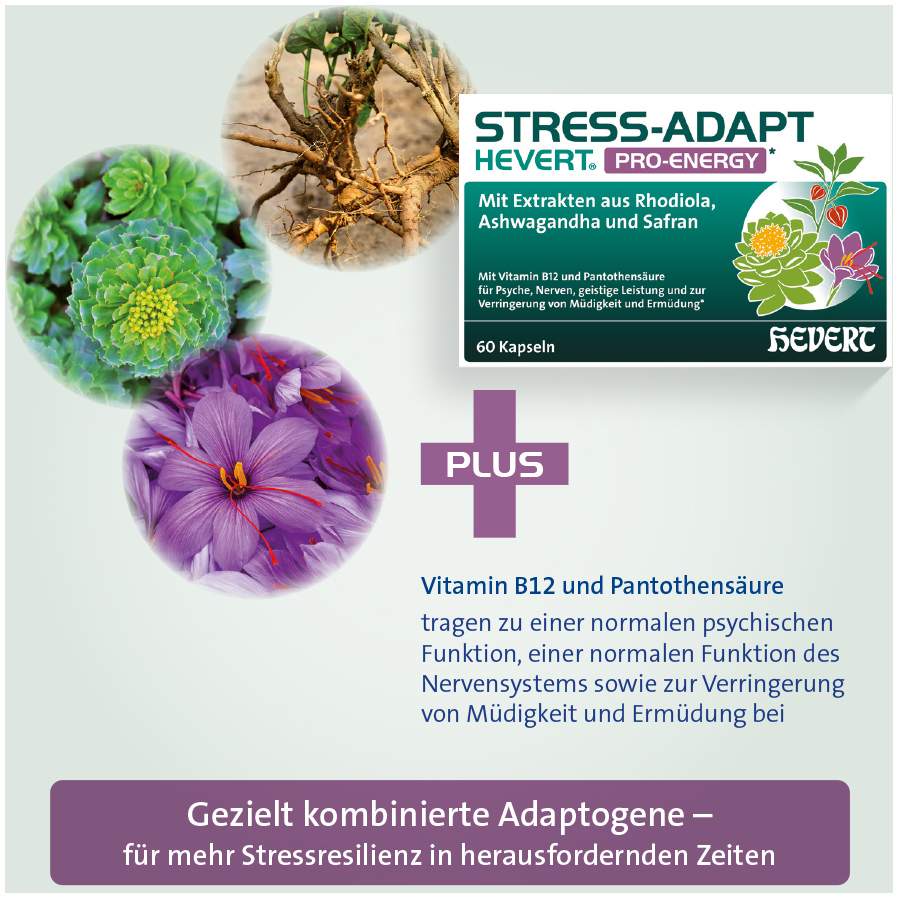 Stress-Adapt Hevert Pro-Energy Kapseln 60 Stück