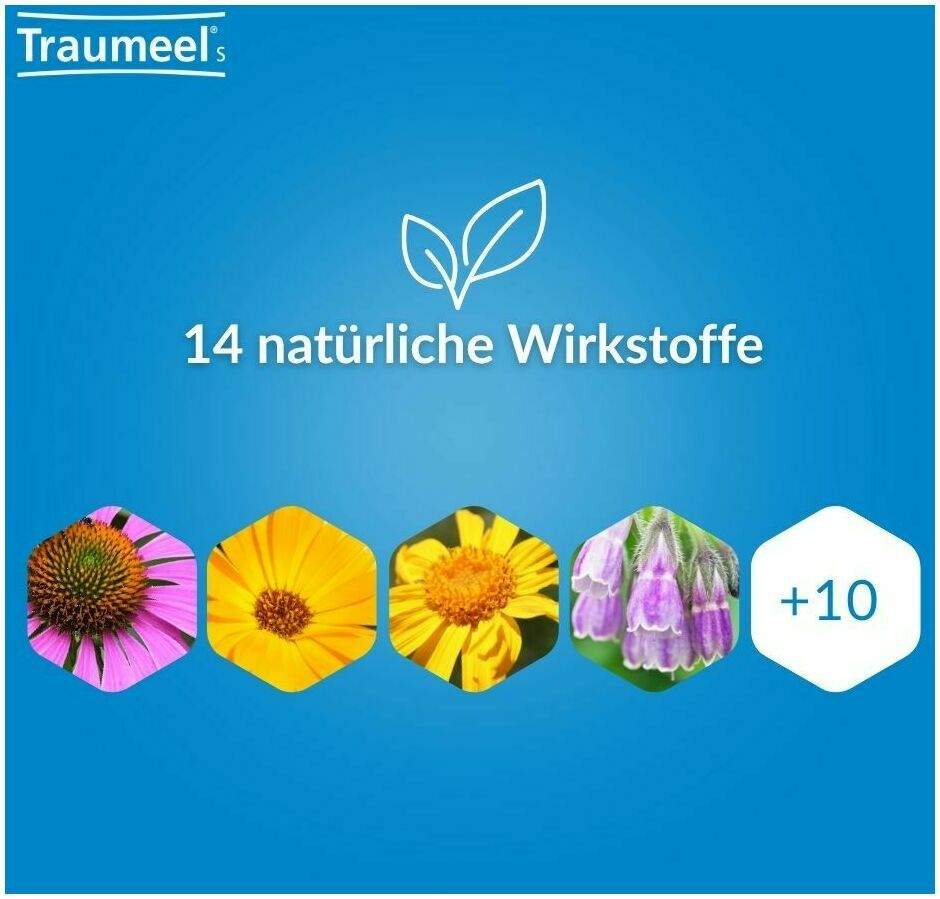 Traumeel S 250 Tabletten + Traumeel S Creme 100 g