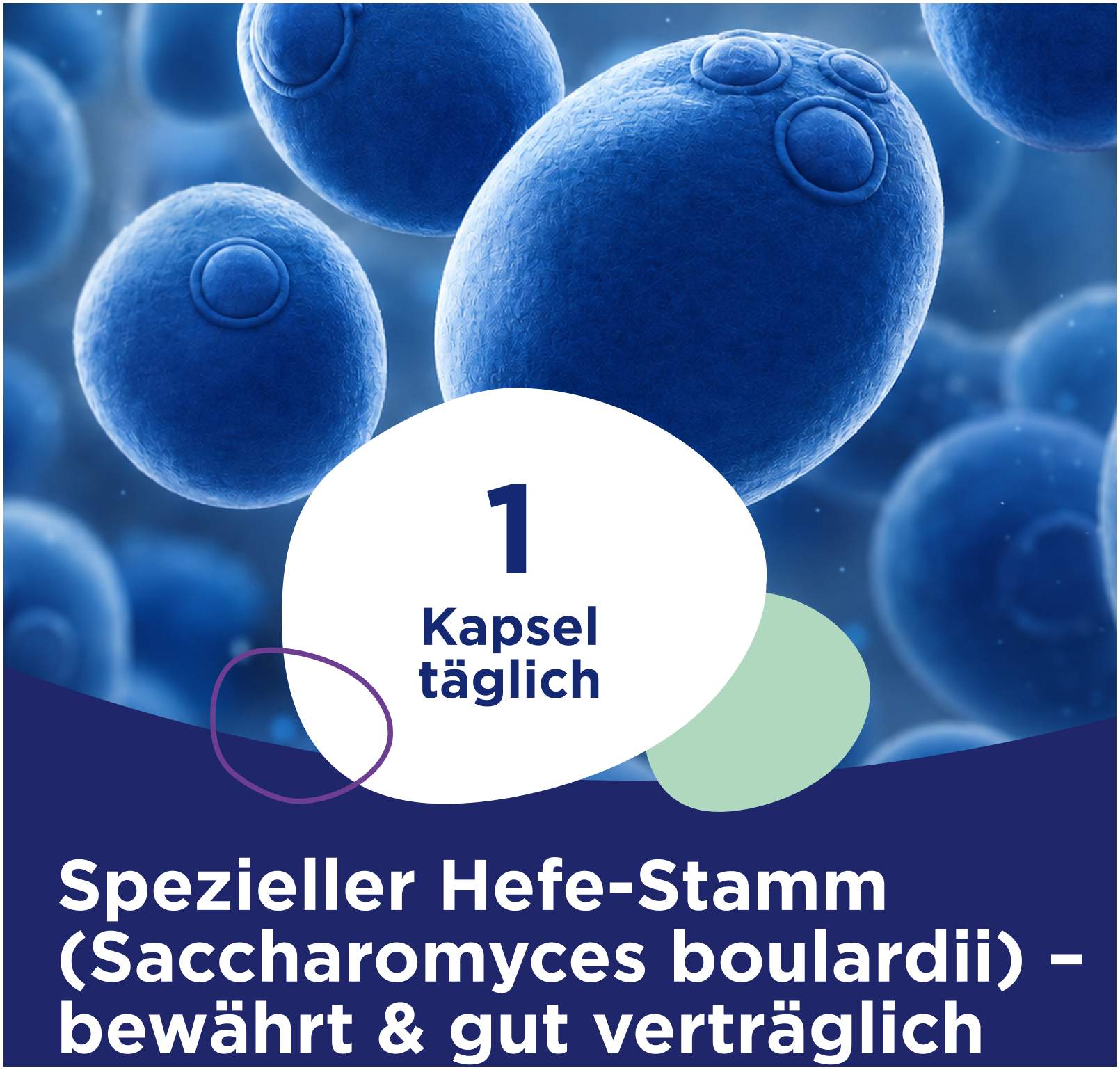 Perenterol Protect 10 Kapseln