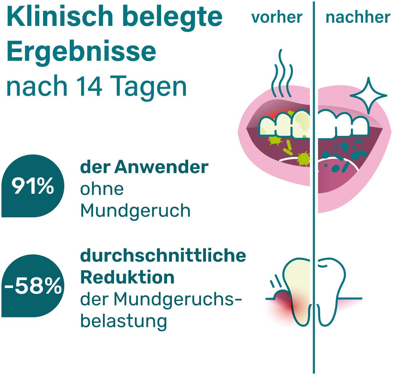 Nupure probadent MAX N44 und Vitamin D3 28 Beutel