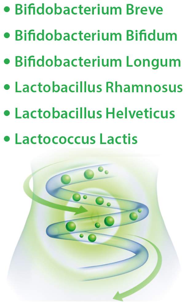 Lakto Bifido Dr.Jacob s 90 Kapseln