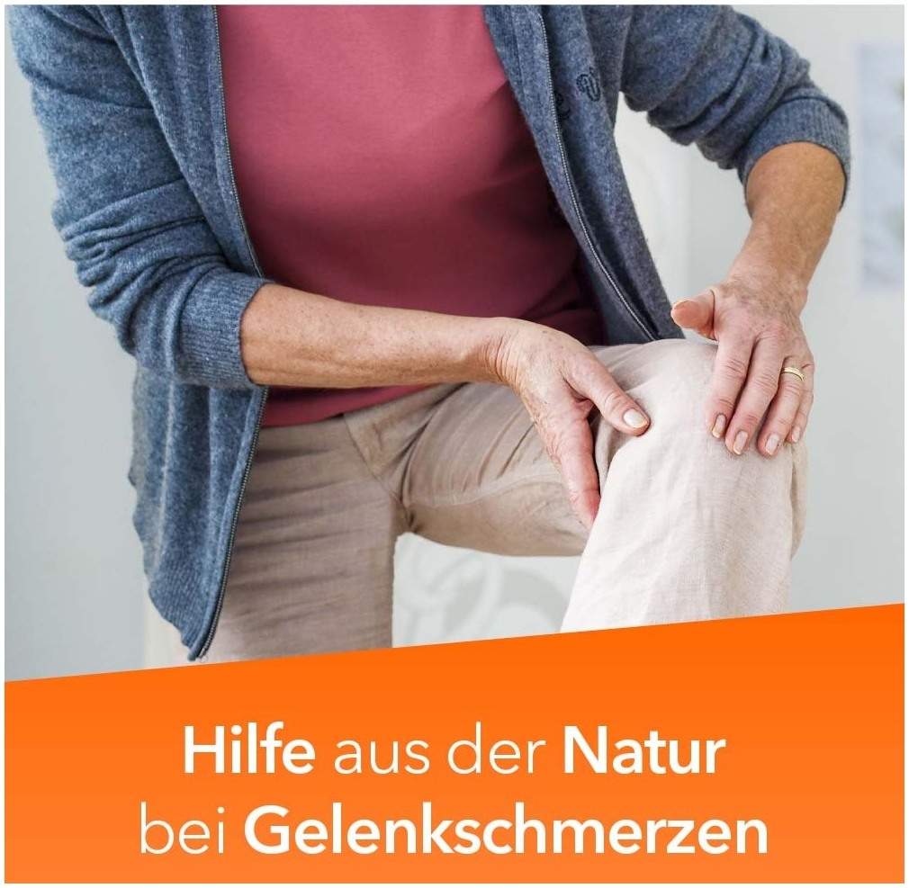 Teufelskralle-ratiopharm 480 mg - 100 Filmtabletten