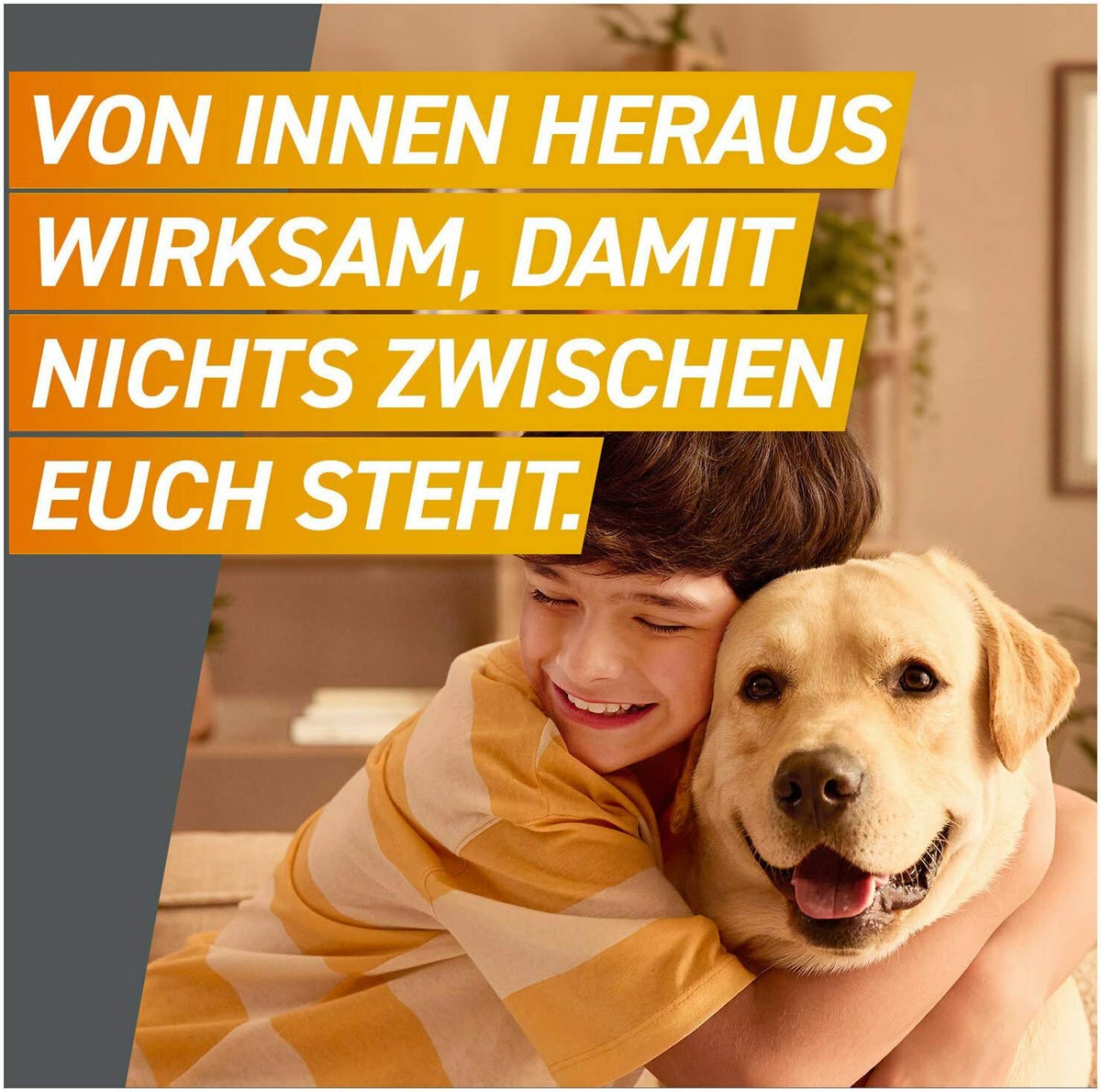 Frontpro 11,3 mg für Hunde 2 - 4 kg 3 Kautabletten