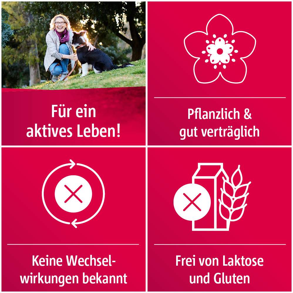 Crataegutt 450 mg Herz-Kreislauf-Tabletten 100 Stück