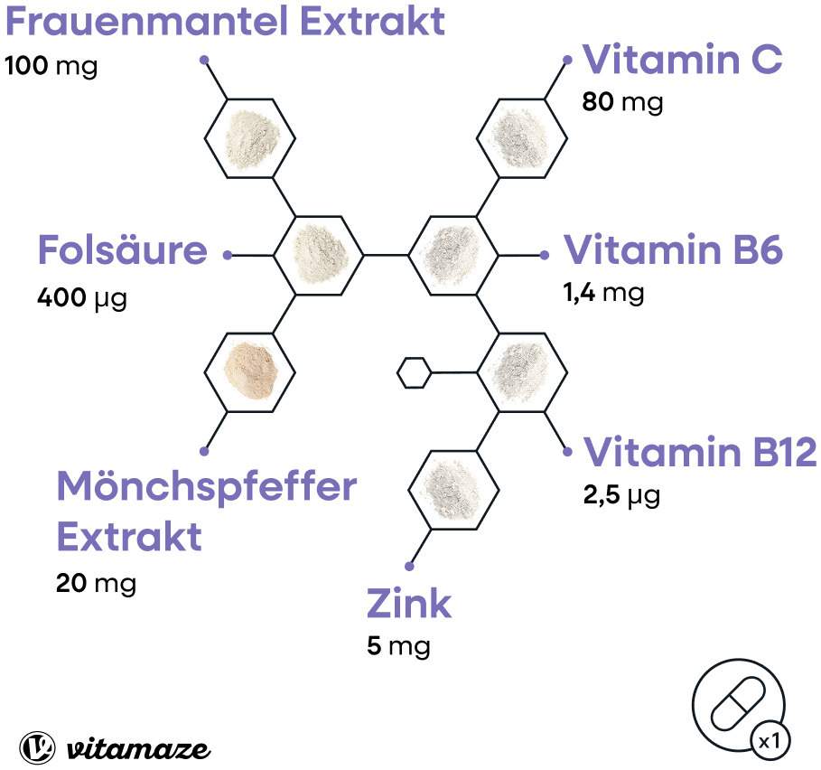 Mönchspfeffer Complex Frauenmantel 270 Kapseln