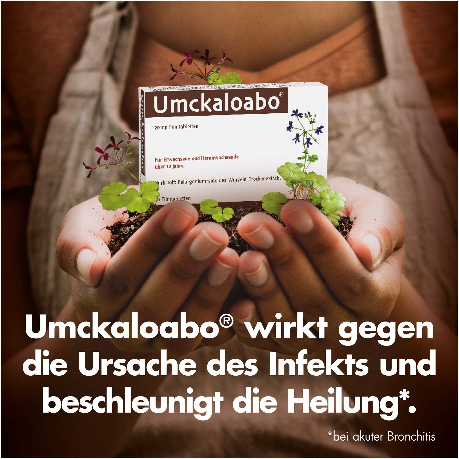 Umckaloabo 20 mg 30 Filmtabletten