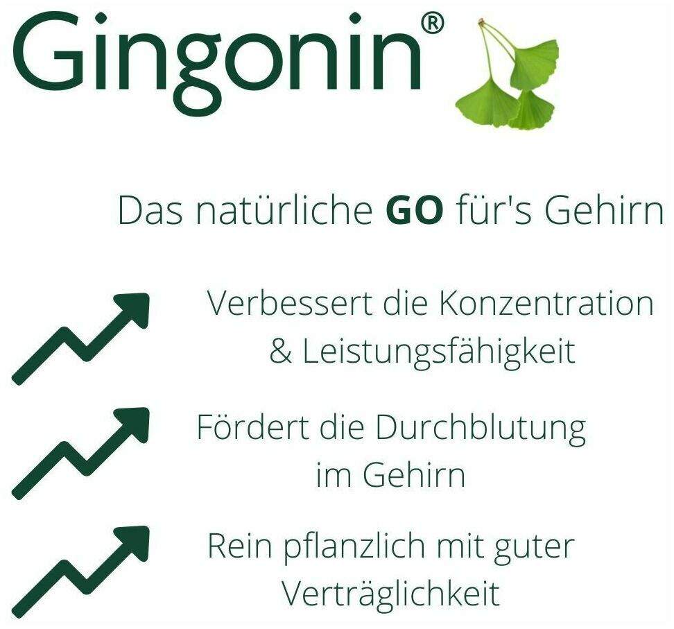 Gingonin 120 mg 120 Hartkapseln