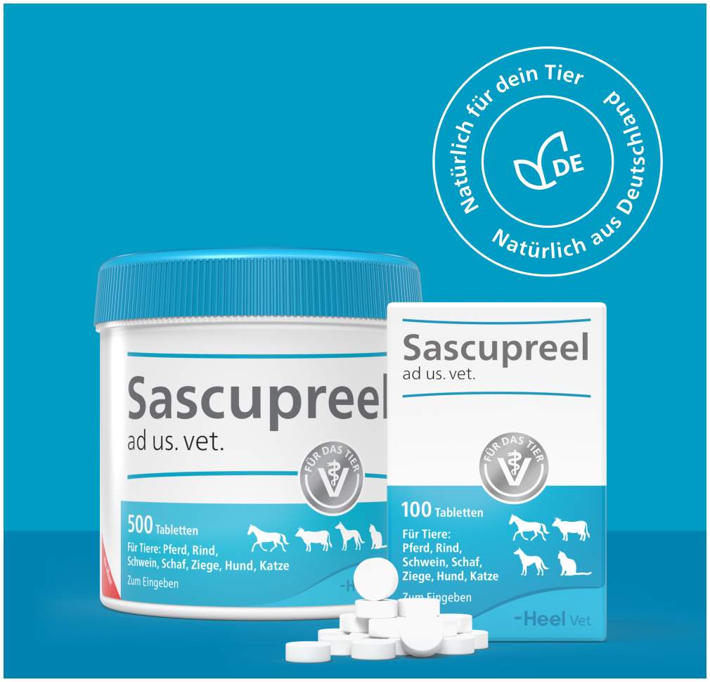 Sascupreel Ad Us.Vet. 100 Tabletten