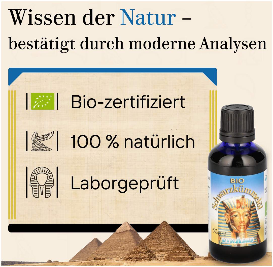Schwarzkümmel Bio Ägypt. Öl 50 ml