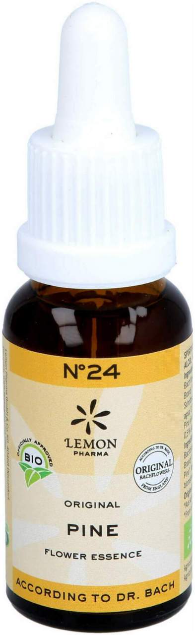 Bachblüten No.24 Pine Bio 20 ml - Bachblüten